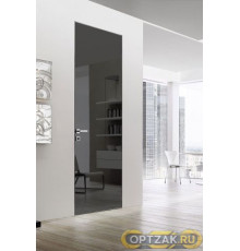 Дверь Спейс Reverse / Цвет Зеркало графит / Двери Belwooddoors
