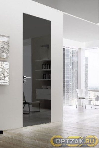 Дверь Спейс / Цвет Зеркало графит / Двери Belwooddoors