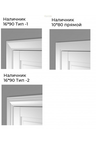 Дверь HausDoors Модель FL 1 Шеллак серый  – двери Хаусдорс от официального производителя Hausedoors